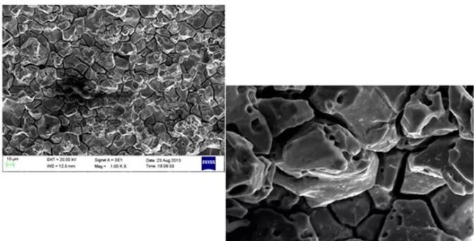 温州温州蔡司温州扫描电镜
