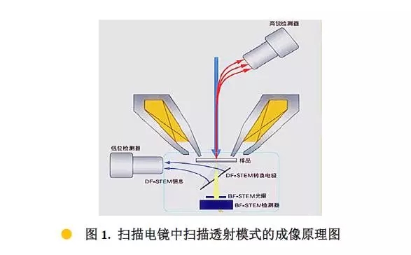 温州扫描电镜