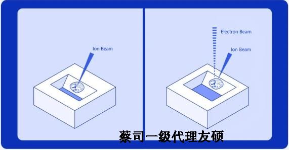 温州扫描电子显微镜